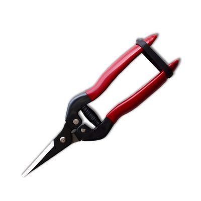 Beli SINSEUNG X3 Hardware Gunting Dengan Alkaline Hitam Pewarna Lapisan Di Ujung Bilah pembuatan online