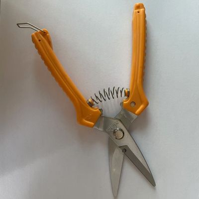 Beli Gunting Kantor Ergonomis dengan Blister Card pembuatan online