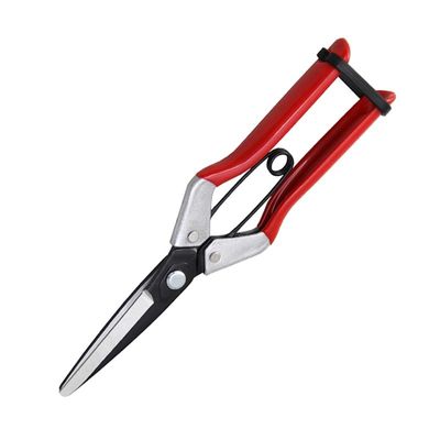 SINSEUNG X1 Hardware Gunting bawang Gunting Spring Dan Struktur ambidextrous