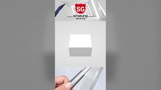 260114-4 VIDEO SINSEUNG