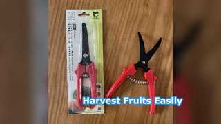 Gunting Panen Buah Baja SK5